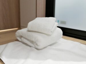 掃除や洗濯の効率化　やめていい家事　タオルをやめる　バスマットを辞める
